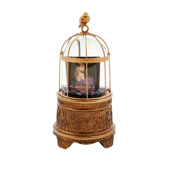 Taylor Swift Other - Taylor Swift Speak Now Snow Globe Taylor's Version Frame Snowglobe IN HAND Eras
